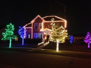 amazing-lawn-care-holiday-lights-10